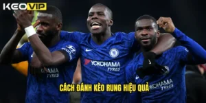 cách đánh kèo rung hiệu quả