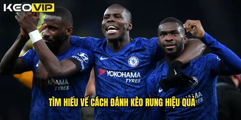 Tìm hiểu về cách đánh kèo rung hiệu quả