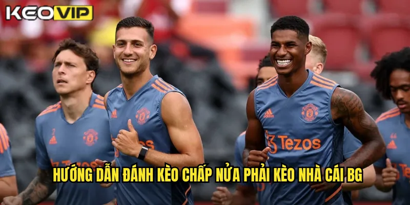 Hướng dẫn đánh kèo chấp nửa phải kèo nhà cái bg